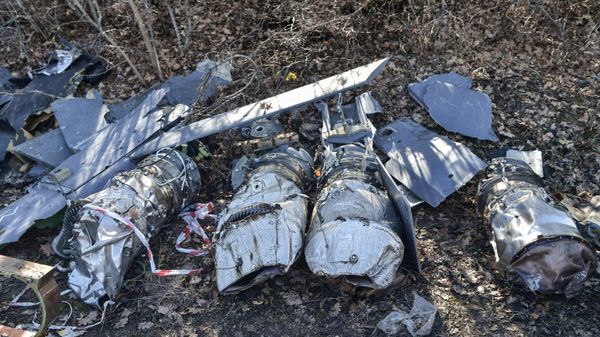 Fragments of a downed Anglo-French Storm Shadow missile. - Sputnik International