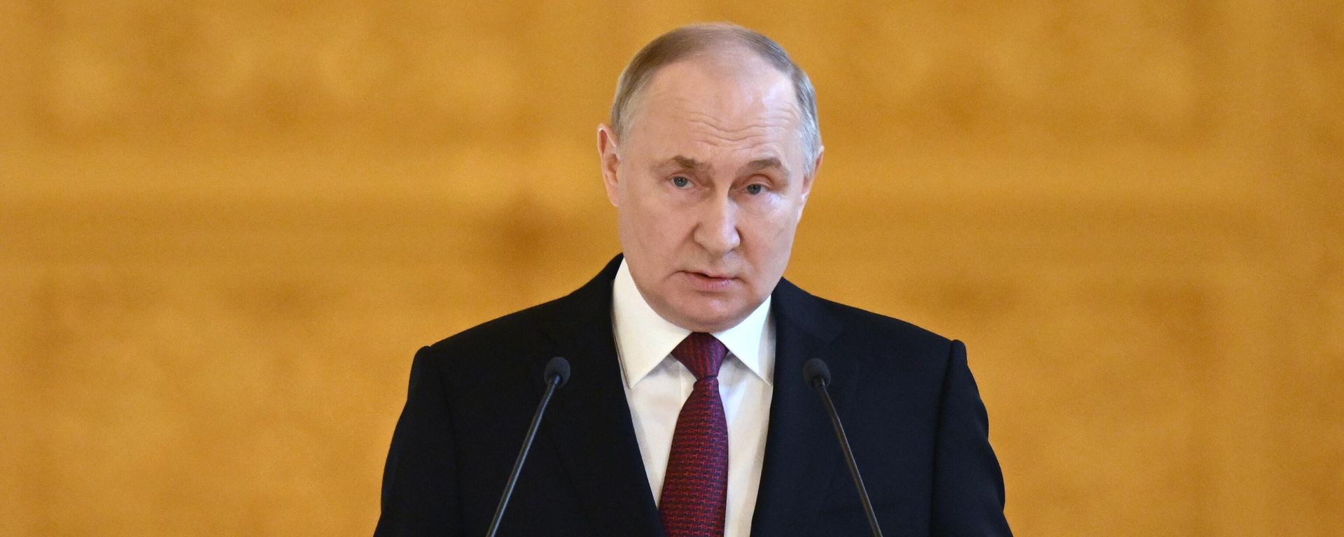 Russian President Vladimir Putin delivers a speech during a meeting with his election campaign agents at the Grand Kremlin Palace - Sputnik International, 1920, 23.06.2024