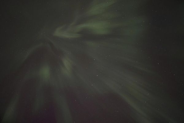 The northern lights glow in the sky over St. Croix State Forest near Markville, Minnesota, United States. - Sputnik International