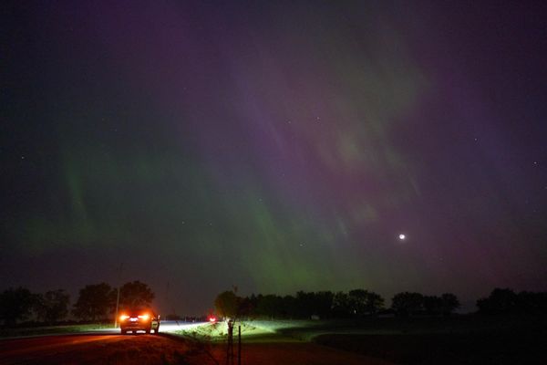 People stop along a country road near London, Ontario. - Sputnik International