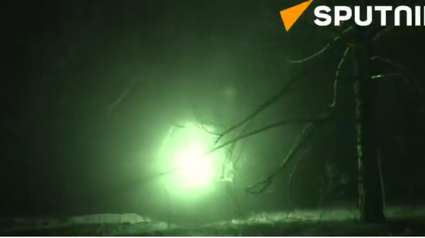 Russian MSTA howitzer in combat action  - Sputnik International