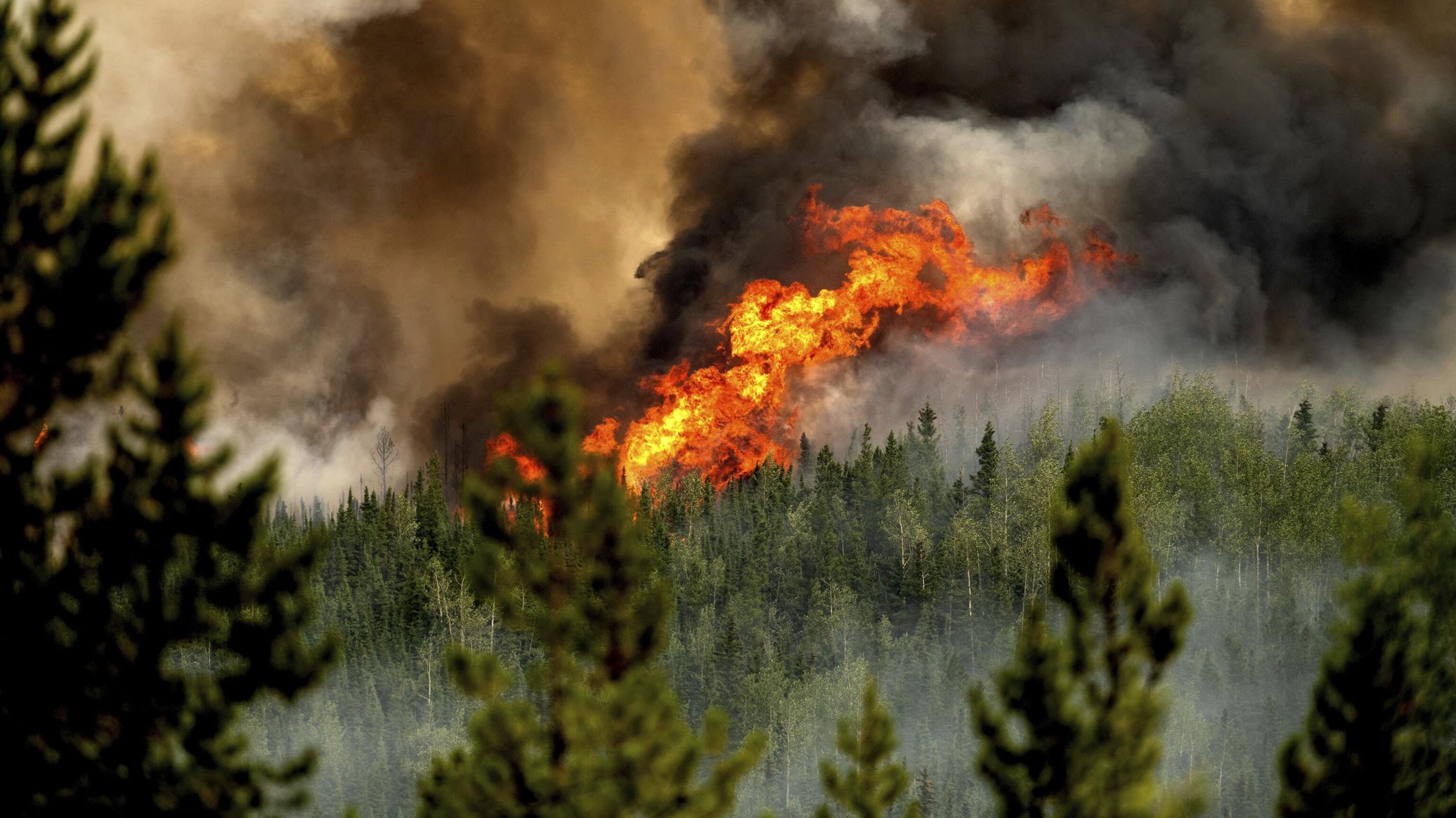 At Least 7 Killed, Dozens Injured in Explosion, Fire at Canadian Military Base - Reports