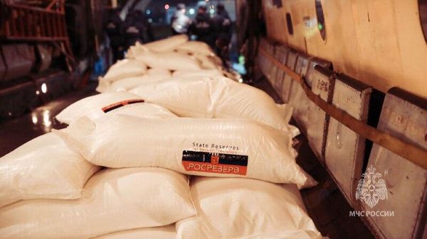 In this handout video grab released by Russia Emergencies Ministry, sacks of humanitarian aid for civilians in the Gaza Strip are seen on board an Il-76 cargo plane of the Russian Emergencies Ministry before departing to El-Arish in Egypt, at the Ramenskoye airport near Moscow, Russia - Sputnik International