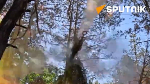 A Russian Battlegroup Dnepr 122 mm D-30 howitzer crew destroyed a Ukrainian observation post  - Sputnik International