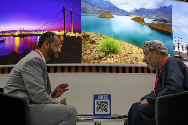 SPIEF 2024's program includes more than 10 business dialogues, including the EAEU - ASEAN, Russia - Africa, Russia - Latin America, Russia - China, Russia - South Africa and other bilateral meetings. - Sputnik International