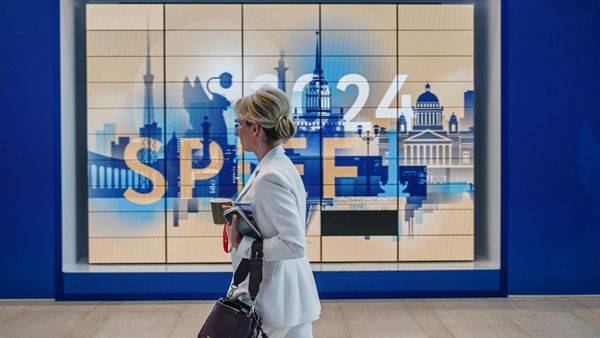 A participant at the SPIEF 2024 - Sputnik International