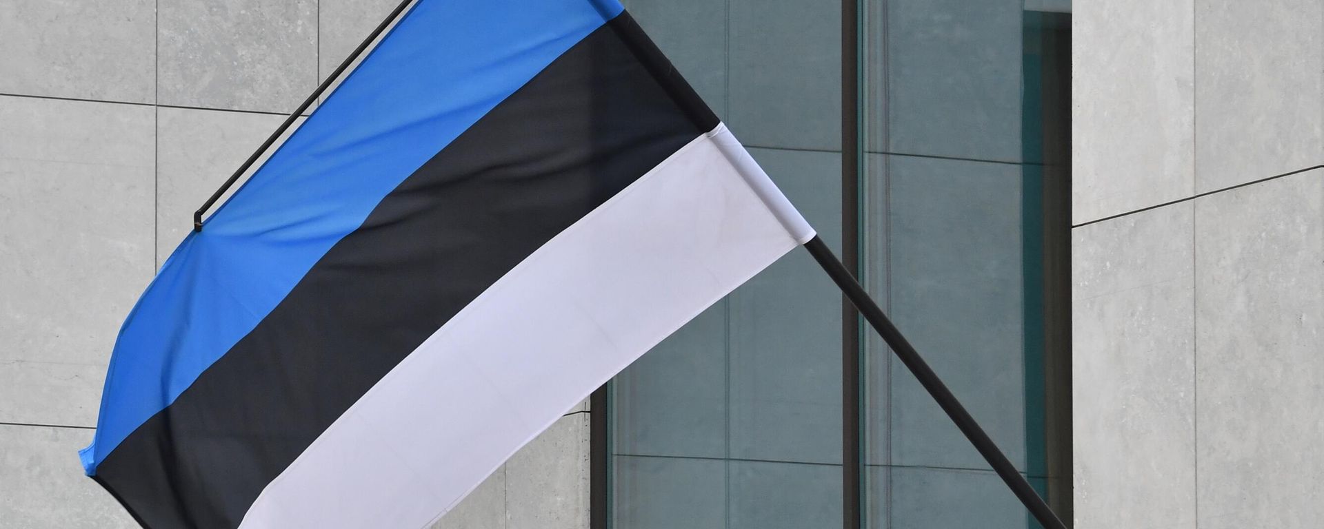 Estonian flag  - Sputnik International, 1920, 06.06.2024