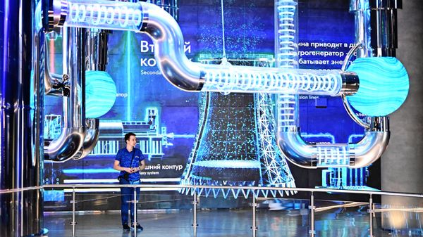 Display of nuclear technologies at the International RUSSIA EXPO - Sputnik International
