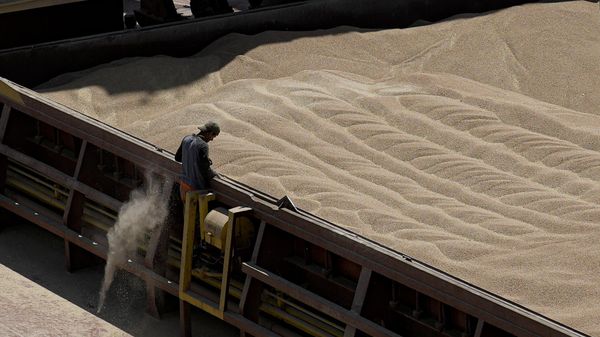 An employee of the Romanian grain handling operator Comvex oversees the unloading of Ukrainian cereals from a barge in the Black Sea port of Constanta, Romania, on June 21, 2022.  - Sputnik International