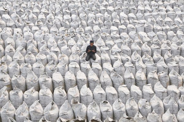 Praying in the fieldMy Planet, singleMohammed Suman / Bangladesh - Sputnik International