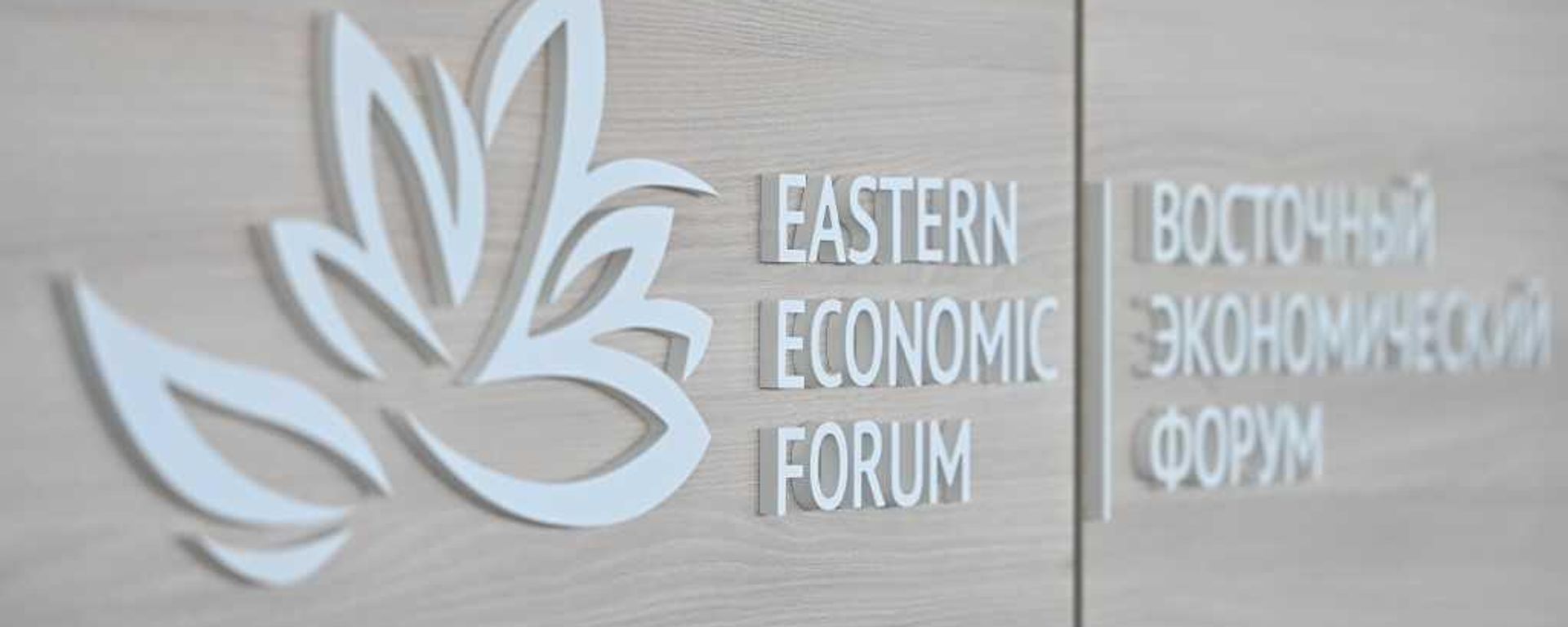 Eastern Economic Forum to be held in Vladivostok, Russia Eastern Economic Forum to be held in Vladivostok, Russia - Sputnik International, 1920, 02.09.2024
