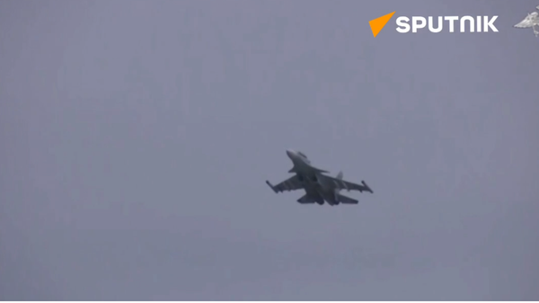Su-30 in combat action - Sputnik International