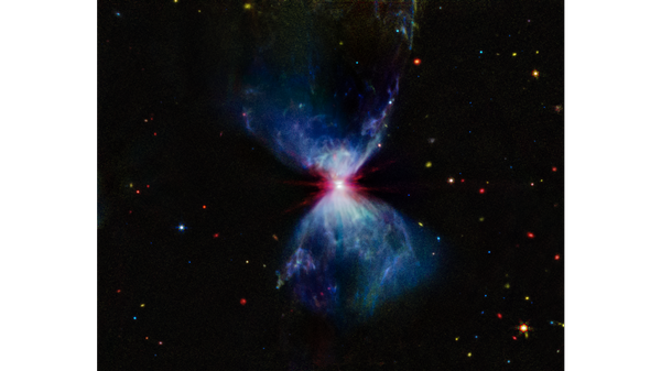 L1527, shown in this image from NASA’s James Webb Space Telescope’s MIRI (Mid-Infrared Instrument), is a molecular cloud that harbors a protostar - Sputnik International