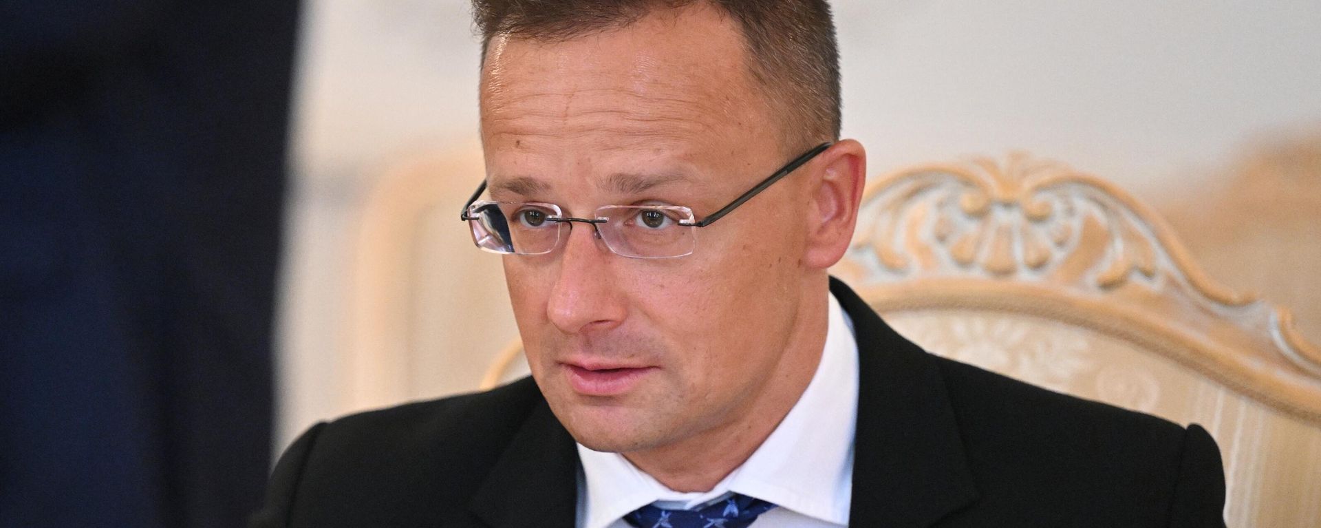 Hungarian Minister of Foreign Affairs and Trade Peter Szijjarto - Sputnik International, 1920, 07.07.2024
