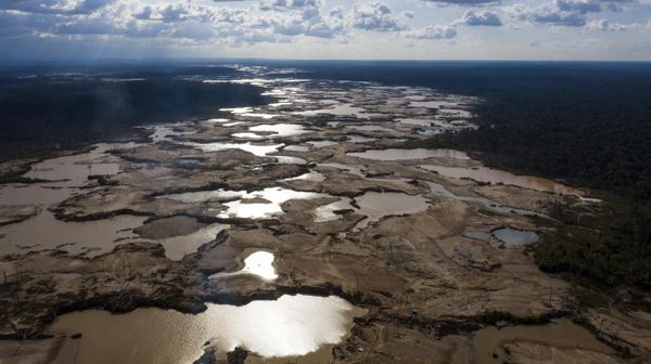 This March 28, 2019 photo shows thousands of hectares of Amazon jungle destroyed by illegal miners, in the Tambopata province, one of three that make up Peru's Madre de Dios department.  - Sputnik International