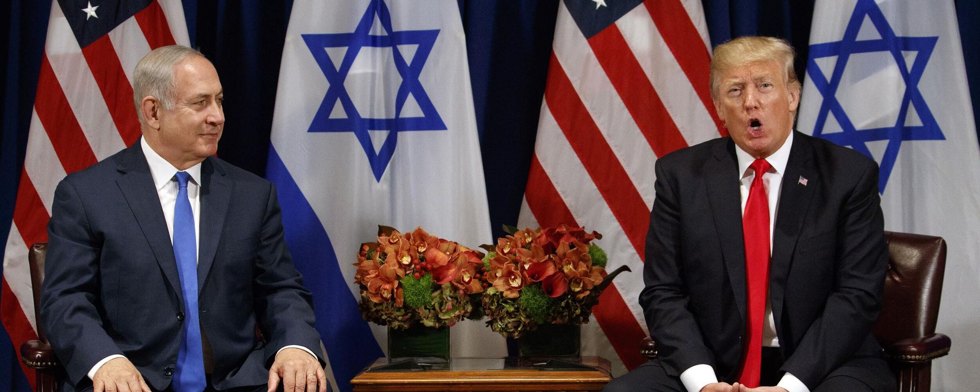 Donald Trump speaks during a meeting with Israeli Prime Minister Benjamin Netanyahu at the Palace Hotel during the United Nations General Assembly Donald Trump speaks during a meeting with Israeli Prime Minister Benjamin Netanyahu at the Palace Hotel during the United Nations General Assembly - Sputnik International, 1920, 30.09.2025