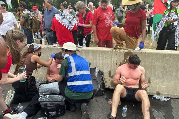 Pro-peace protesters near the Capitol after the police pepper sprayed them - Sputnik International