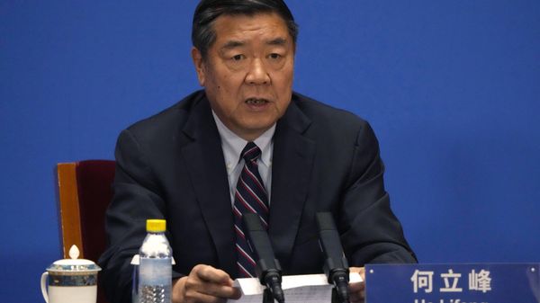 Chinese Vice Premier He Lifeng - Sputnik International