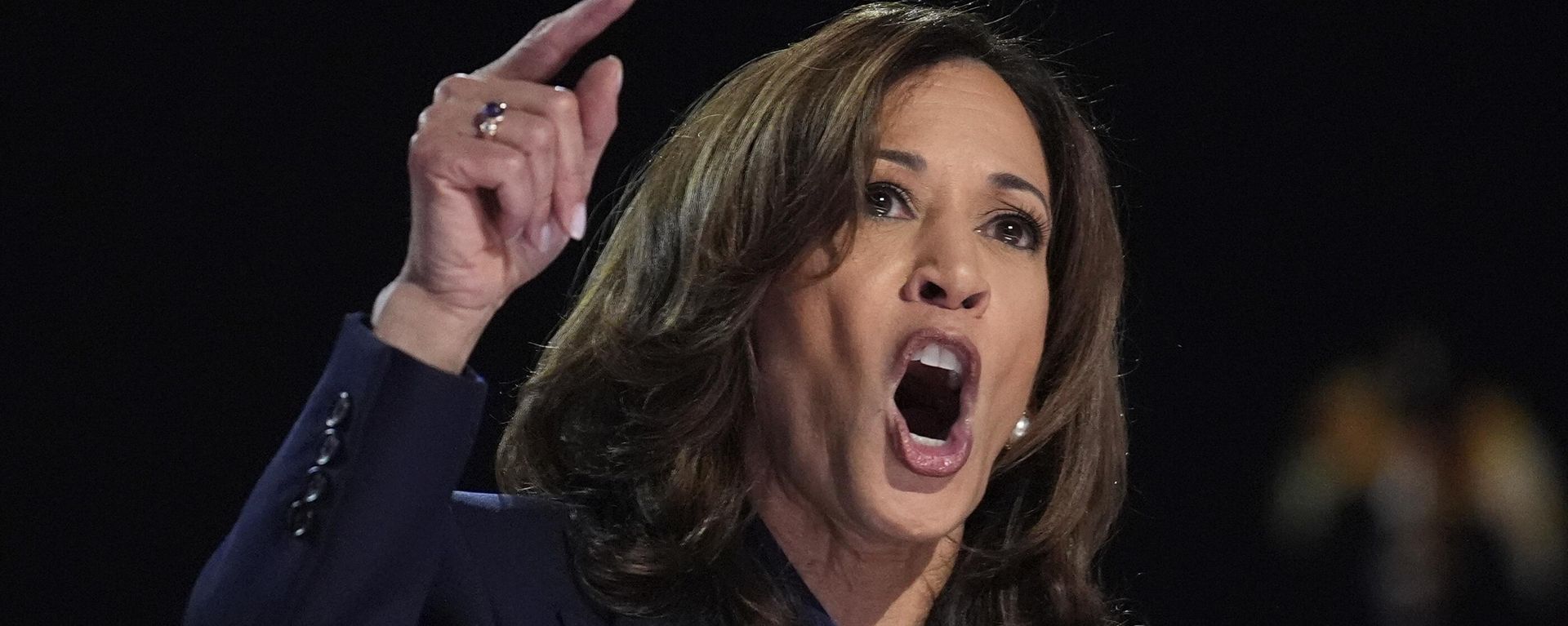 Democratic presidential nominee Vice President Kamala Harris speaks during the Democratic National Convention Thursday, Aug. 22, 2024, in Chicago Democratic presidential nominee Vice President Kamala Harris speaks during the Democratic National Convention Thursday, Aug. 22, 2024, in Chicago - Sputnik International, 1920, 05.11.2024