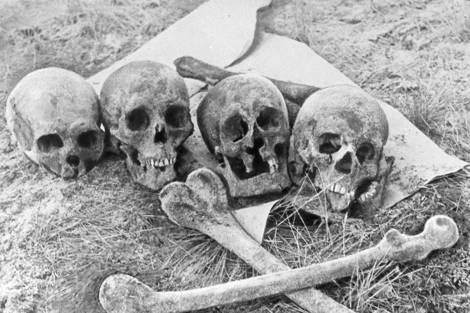 Human remains at the site of massacres in the Kalevi-Liiva tract carried out by Nazi collaborators on the occupied territory of Estonia during the Great Patriotic War. Nazis and Estonian collaborators massacred Jews brought from Central European countries, as well as Roma and Soviet prisoners of war. Human remains at the site of massacres in the Kalevi-Liiva tract carried out by Nazi collaborators on the occupied territory of Estonia during the Great Patriotic War. Nazis and Estonian collaborators massacred Jews brought from Central European countries, as well as Roma and Soviet prisoners of war. - Sputnik International, 1920, 22.09.2024