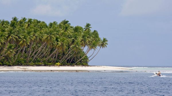Chagos Archipelago - Sputnik International