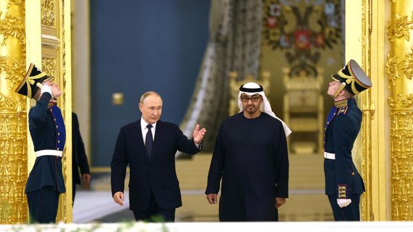 Russian President Vladimir Putin and  UAE President Mohamed bin Zayed Al Nahyan - Sputnik International