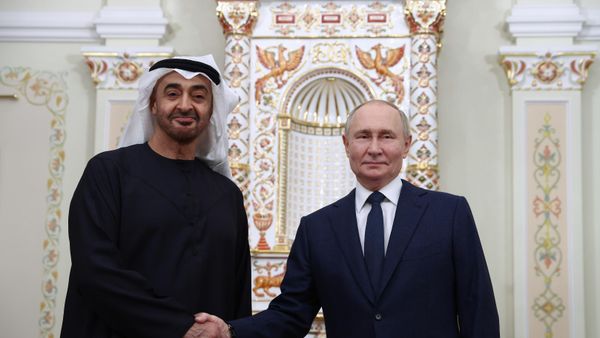 Russian President Vladimir Putin and United Arab Emirates President Sheikh Mohamed bin Zayed Al Nahyan shake hands during a meeting at the Novo-Ogaryovo state residence, outside Moscow, Russia. - Sputnik International