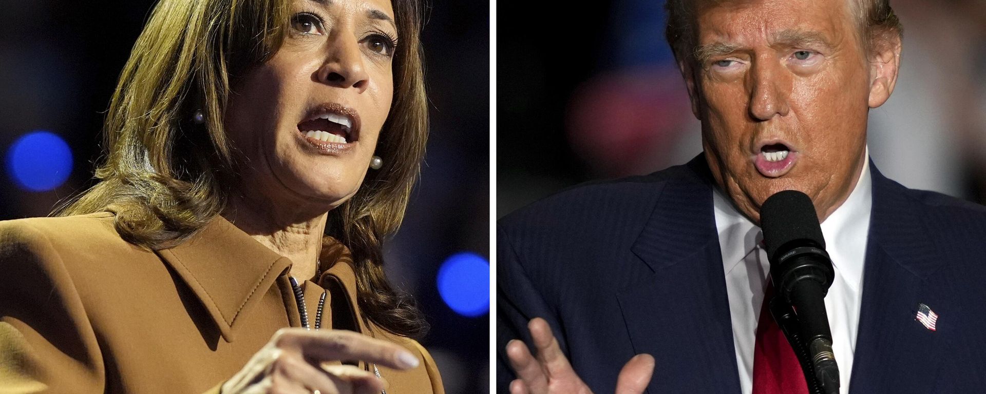 Vice President Kamala Harris, the Democratic presidential nominee, left, and former President Donald Trump, the Republican presidential nominee, right. Vice President Kamala Harris, the Democratic presidential nominee, left, and former President Donald Trump, the Republican presidential nominee, right. - Sputnik International, 1920, 06.11.2024