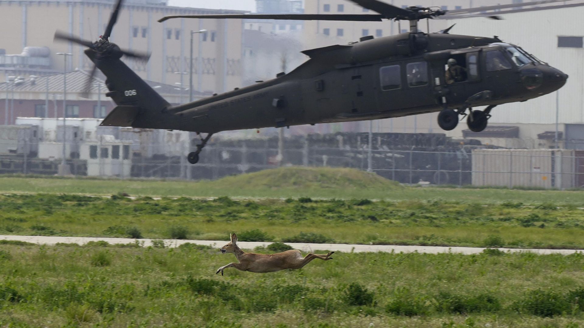 A Blackhawk UH-60 helicopter tries to land in an air assault and STX lanes during the best squad competition at Camp Humphreys in Pyeongtaek, South Korea, Thursday, May 4, 2023. T A Blackhawk UH-60 helicopter tries to land in an air assault and STX lanes during the best squad competition at Camp Humphreys in Pyeongtaek, South Korea, Thursday, May 4, 2023. T - Sputnik International, 1920, 16.12.2024