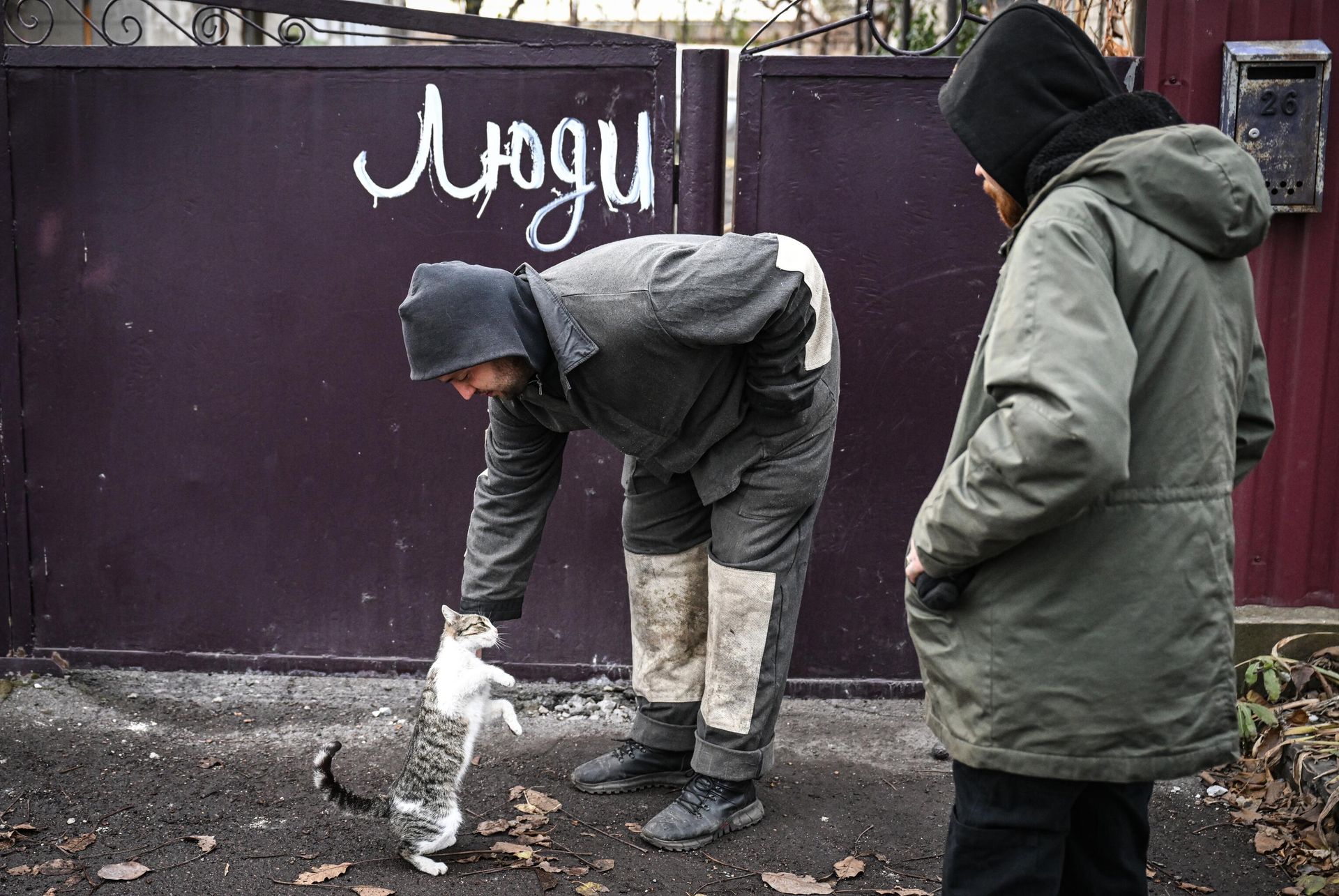 Local residents pets a cat in the town of Selidovo Local residents pets a cat in the town of Selidovo - Sputnik International, 1920, 17.12.2024