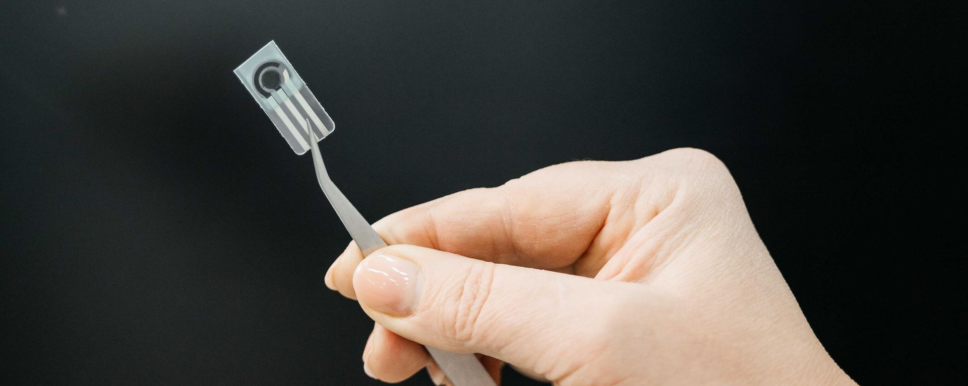 Sensor for Detecting Pesticides in Food - Sputnik International, 1920, 23.12.2024