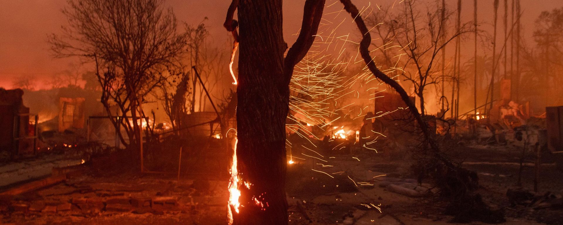 Tree on flames as the Eaton Fire burns in Altadena, Calif., Wednesday, Jan. 8, 2025. Tree on flames as the Eaton Fire burns in Altadena, Calif., Wednesday, Jan. 8, 2025. - Sputnik International, 1920, 09.01.2025
