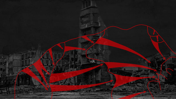 Operation Koltso - Sputnik International