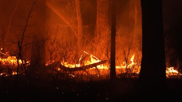 A fire burns on Tuesday, April 22, 2025, near Waretown, N.J. - Sputnik International