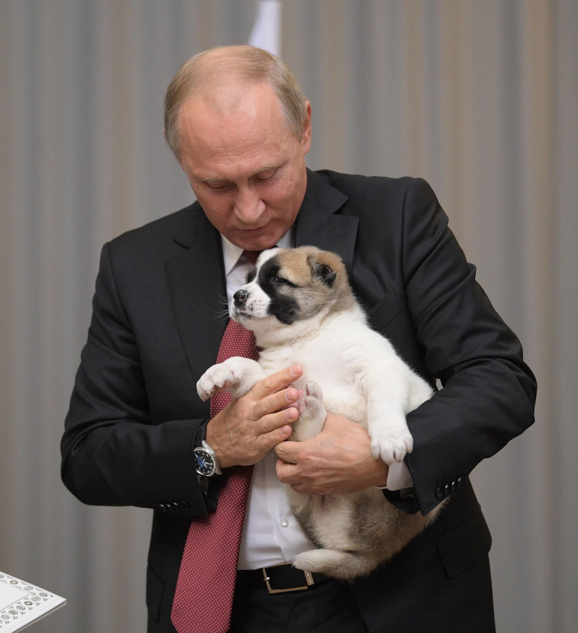 Russian President Vladimir Putin. File photo - Sputnik International, 1920, 07.05.2025