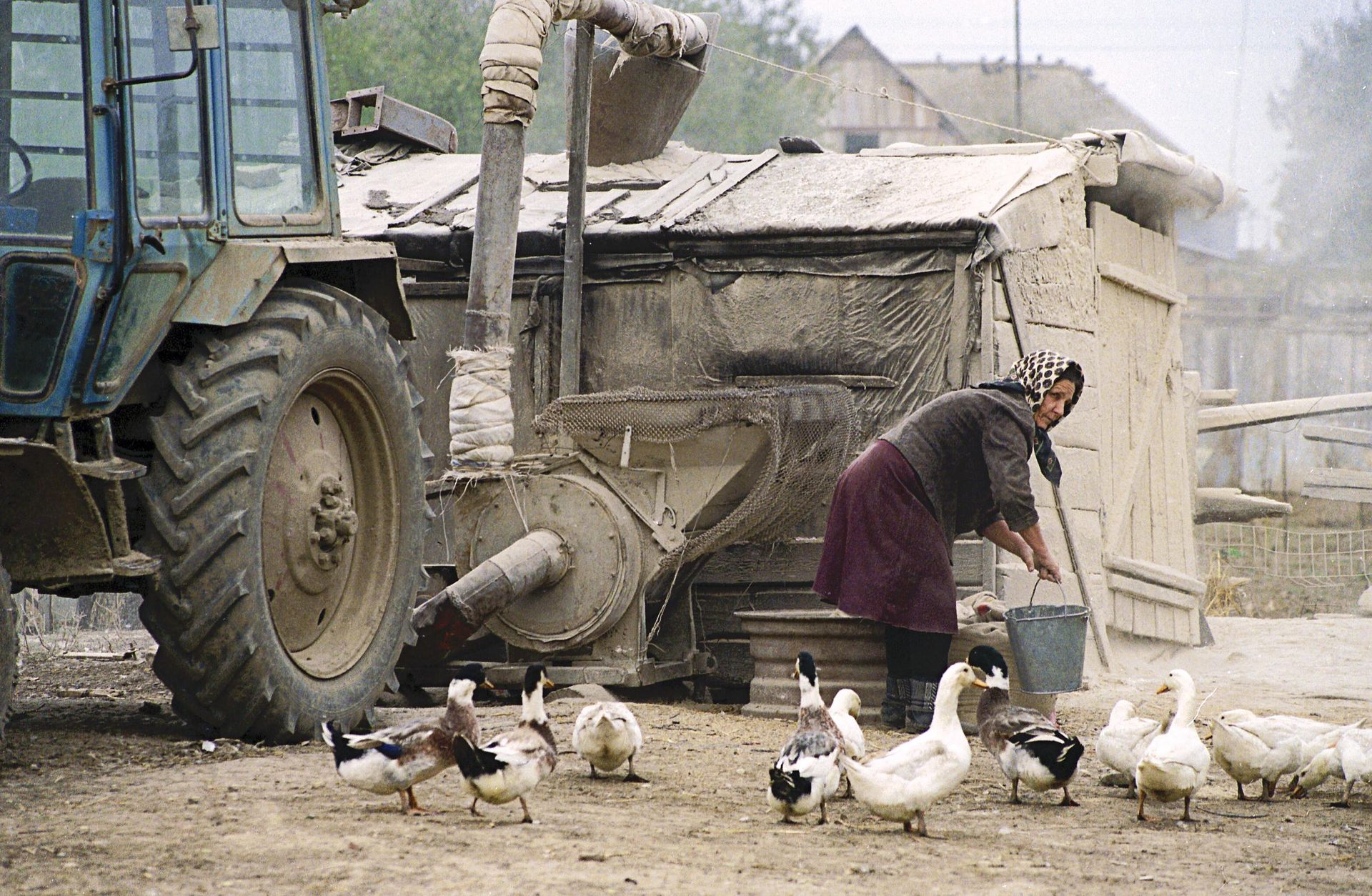 A woman feeds geese - Sputnik International, 1920, 07.05.2025