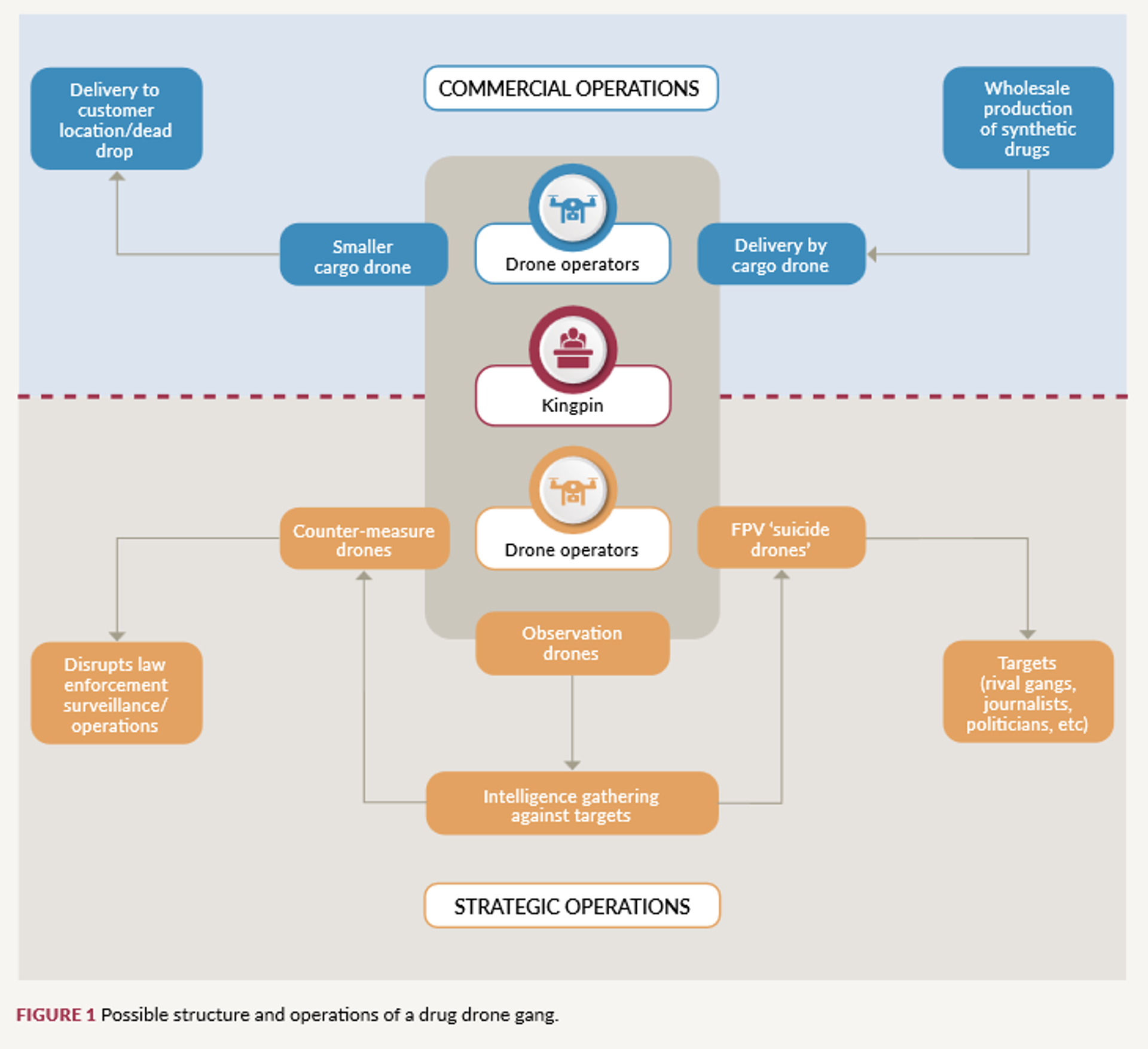 Possible structure and operations of a drug drone gang. Illustration from report by the Global Initiative Against Transnational Organized Crime on opportunities for criminal gangs to create new types of criminal enterprises post-conflict in Ukraine. Possible structure and operations of a drug drone gang. Illustration from report by the Global Initiative Against Transnational Organized Crime on opportunities for criminal gangs to create new types of criminal enterprises post-conflict in Ukraine. - Sputnik International, 1920, 18.05.2025