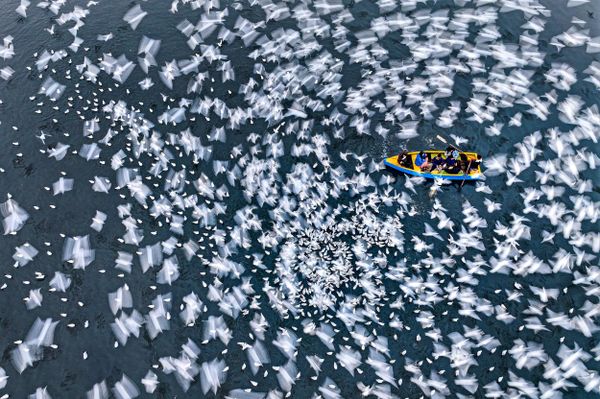 Serenity in motion by Mushfiqul Alam from Bangladesh - Sputnik International