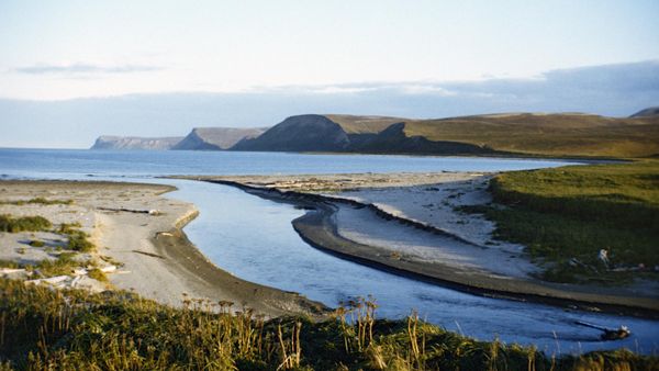 The Polovinka River on the Commander Islands. - Sputnik International