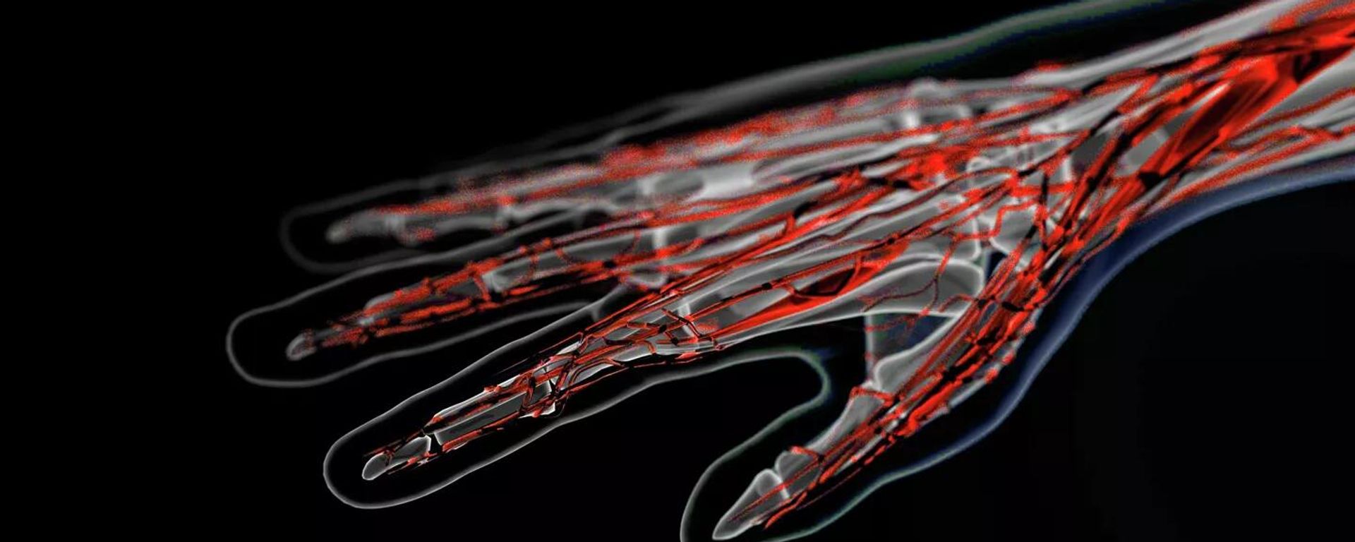 Veins on the arm - Sputnik International, 1920, 07.08.2025