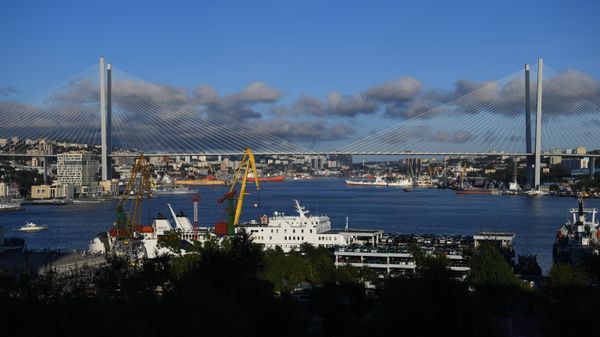 The Golden Bridge across the Golden Horn Bay in Vladivostok. - Sputnik International