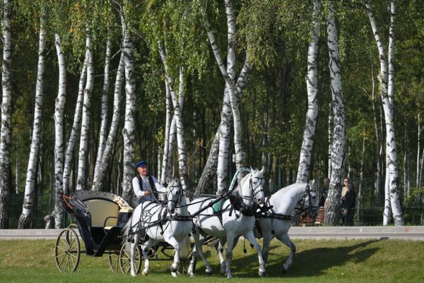 Step by step, the troika is approaching inclusion in the All-Russian Register of National Non-Olympic Sports: This will make it possible to create a federation and organize regular Russian championships. - Sputnik International
