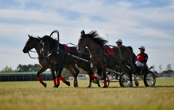 The program featured postal troikas of the XVIII century, elegant ceremonial carriages of the XIX century, powerful Soviet heavy-duty troikas of the XX century and sports carriages. - Sputnik International