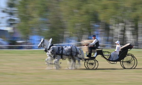 The highlight of the program was the horse show "Russian Troika. Flying through the ages." - Sputnik International