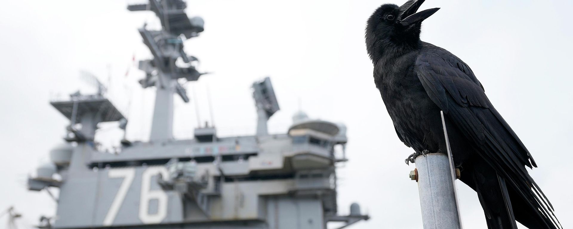 The crow is cawing near the U.S. Navy Aircraft carriers USS Ronald Reagan (CVN-76) at the U.S. Navy's Yokosuka base Thursday, May 16, 2024, in Yokosuka, south of Tokyo.  - Sputnik International, 1920, 23.12.2025