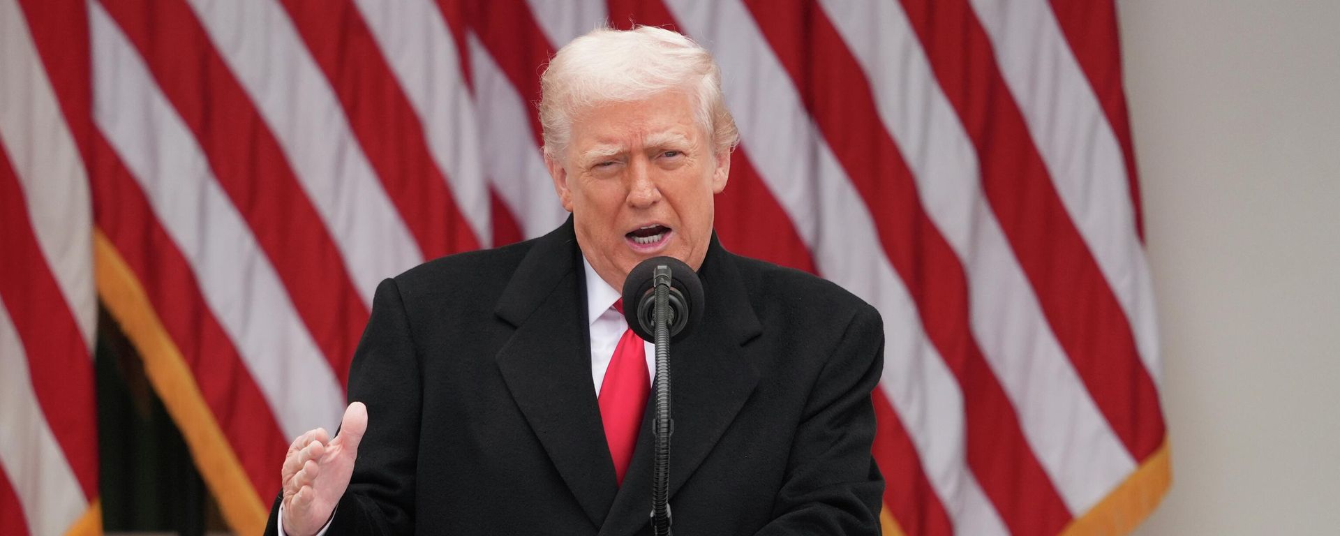 President Donald Trump speaks during a pardoning ceremony for the national Thanksgiving turkeys Waddle and Gobble in the Rose Garden of the White House, Tuesday, Nov. 25, 2025, in Washington - Sputnik International, 1920, 05.01.2026