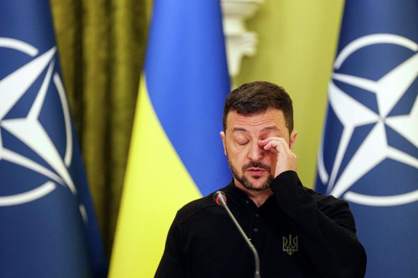 Ukraine's Volodymyr Zelensky speaks to journalists during a joint press conference with NATO Secretary General Mark Rutte in Kiev, Ukraine, Thursday Oct. 3, 2024.  - Sputnik International