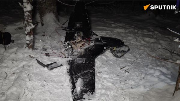 Ukrainian drone that targetted Russian President's residence - Sputnik International