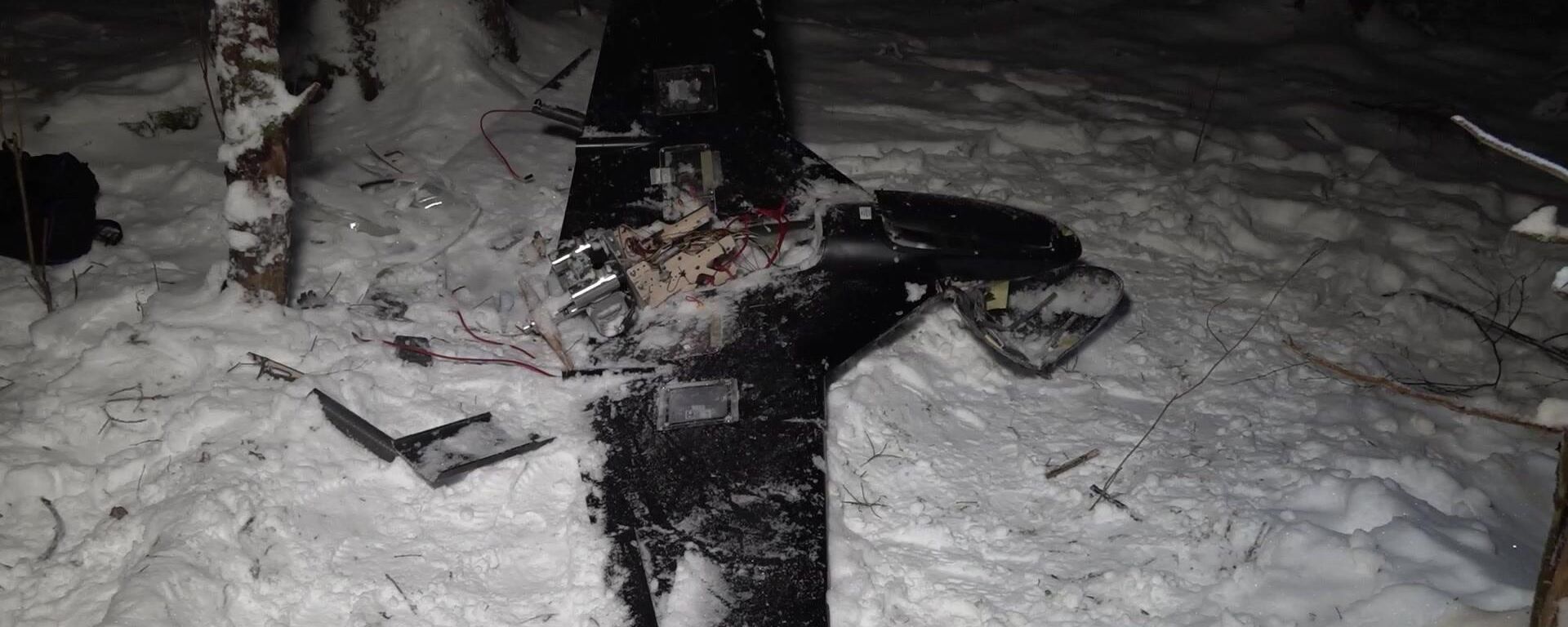 Ukrainian drone that targetted Russian President's residence Ukrainian drone that targetted Russian President's residence - Sputnik International, 1920, 31.12.2025
