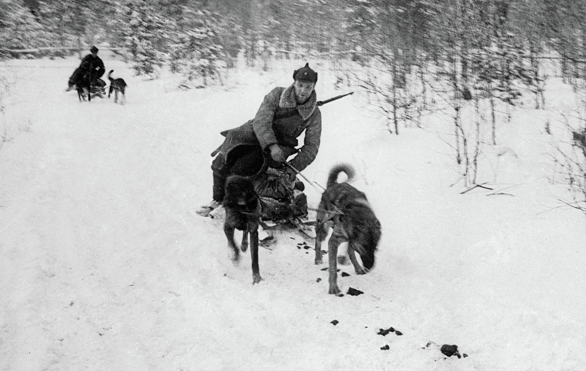 Soviet-Finnish War 1939-1940. Dog sled in service with the Red Army in the Karelian Isthmus area. - Sputnik International, 1920, 18.01.2026